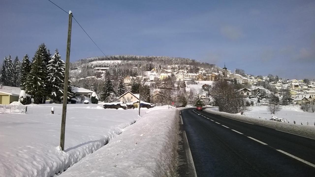 Studio D'Hotes A 10 Km De Gerardmer 르톨리 외부 사진